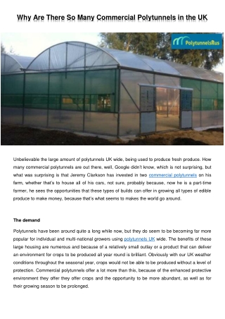 Why Are There So Many Commercial Polytunnels in the UK