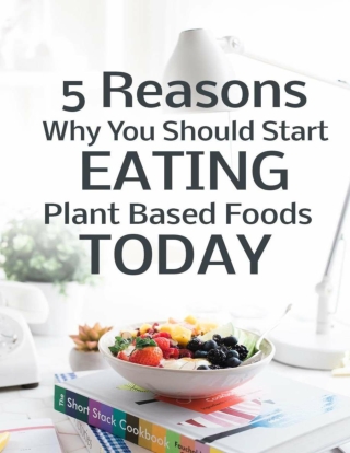 5 Reasons Why You Should Start Eating Plant Based Foods Today