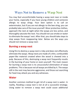 Ways not to remove a wasp nest