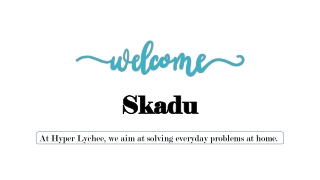 Skadu - Your Shortcut to A Hyper Clean Home