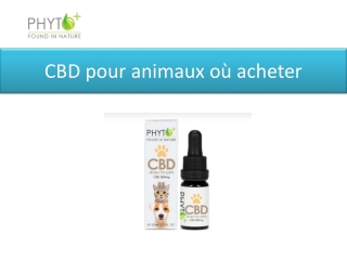 CBD pour animaux où acheter