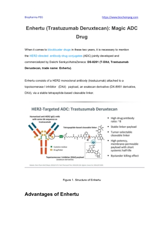 Enhertu (Trastuzumab Deruxtecan) Magic ADC Drug