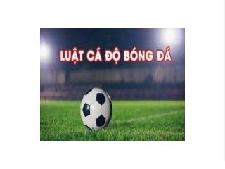 Thông tin về luật cá độ bóng đá ở Việt Nam các bạn cần biết