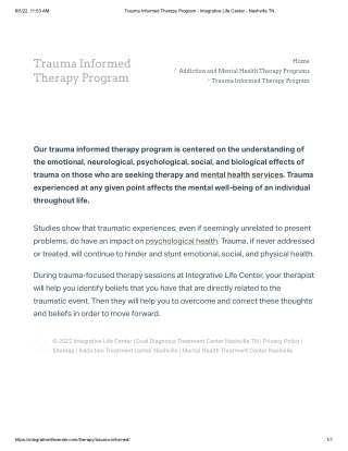 Trauma Informed Therapy Program