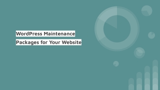 WordPress Maintenance Packages