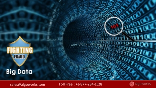Algoworks - Fighting Frauds Using Big Data Visibility And Intelligence