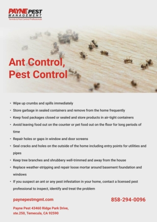 Ant Control, Pest Control | San diego pest control company