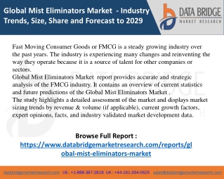 Global Mist Eliminators Market pdf