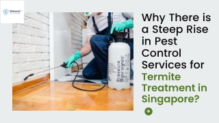 Why There is Rise in Pest Control Services for Termite Treatment in Singapore?