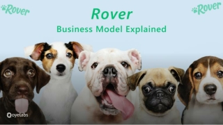 Rover App Business Model