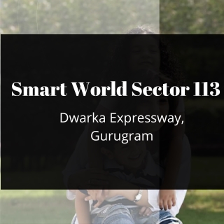 Smart Worls Sector 113 Gurugram - PDF