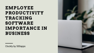 Employee Productivity Tracking Software Importance in Business