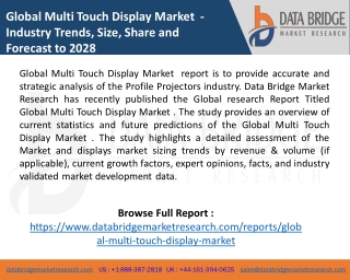 Global Multi Touch Display Market