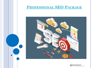 Professional SEO Package