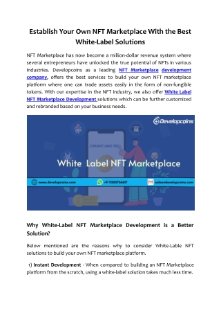 Establish Your Own NFT Marketplace With the Best White-Label Solutions