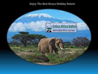 Enjoy The Best Kenya Holiday Safaris