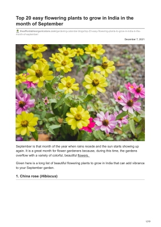 Top 20 easy flowering plants to grow in India in the month of September