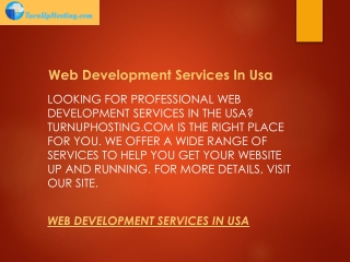 Web Development Services In Usa  Turnuphosting.com