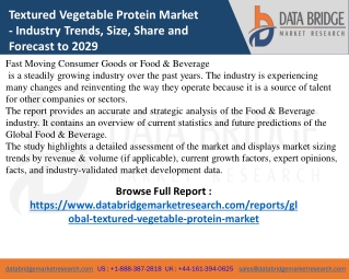 global-textured-vegetable-protein-market