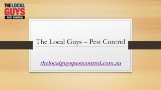 Pest Control Melbourne Eastern Suburbs | Thelocalguyspestcontrol.com.au