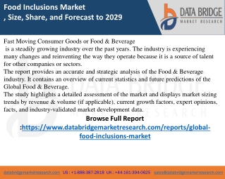 global-food-inclusions-market