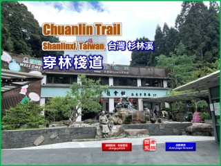 Chuanlin Trail, Shanlinxi, Taiwan (台灣 杉林溪 穿林棧道)