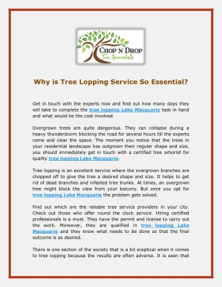 Why is Tree Lopping Service So Essential