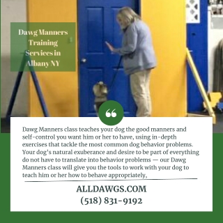 Dawg Manners Training Services in Albany NY