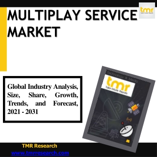 Multiplay Service : To See Huge Growth In Future