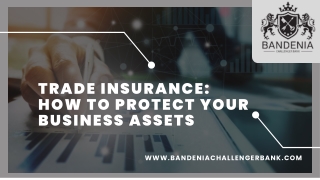 Trade Insurance: How to Protect Your Business Assets