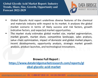 Global Glycolic Acid Market Size