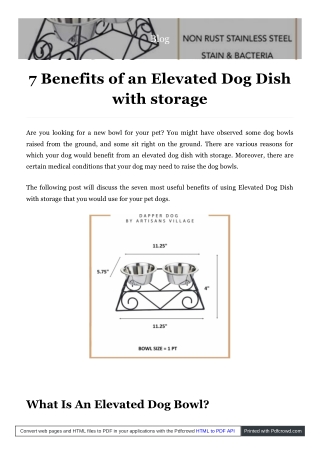 Elevated Dog Dish with storage | Artisans Village