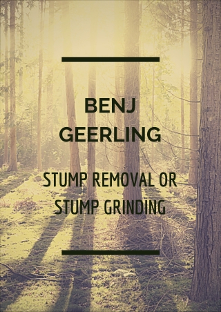 Benj Geerling - Stump Removal OR Stump Grinding