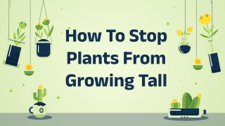 Stop Plants From Growing Tall