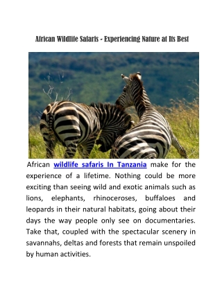 African Wildlife Safaris - Experiencing Nature at Its Best