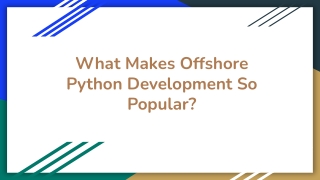 What Makes Offshore Python Development So Popular?