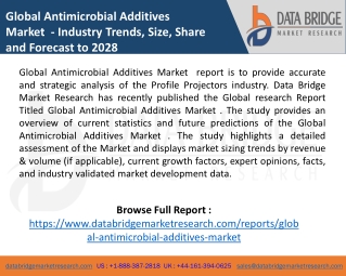 Global Antimicrobial Additives Market