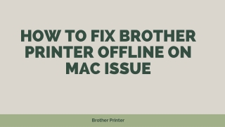 How To Fix Brother Printer Offline On Mac Issue