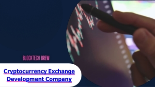 Cryptocurrency Exchange Development Company | Blocktech Brew