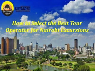 How to Select the Best Tour Operator for Nairobi Excursions