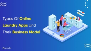 Different Laundry apps and their Business Model Explained