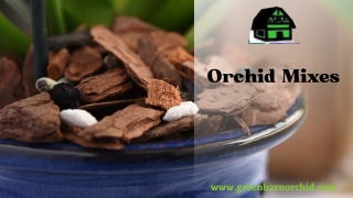 Buy Organic Orchid Mixes From Green Barn Orchid