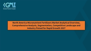 North America Micronutrient Fertilizers Market Size 2022