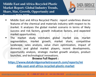 2.Middle East and Africa Recycled Plastic Mark