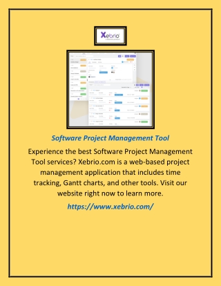 Software Project Management Tool