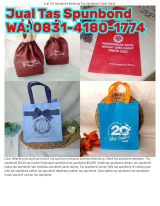 O8౩I~ᏎI8O~I77Ꮞ (WA) Konveksi Tas Spunbond Tas Spunbond 30x40