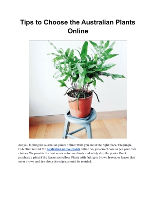 Tips to Choose the Australian Plants Online