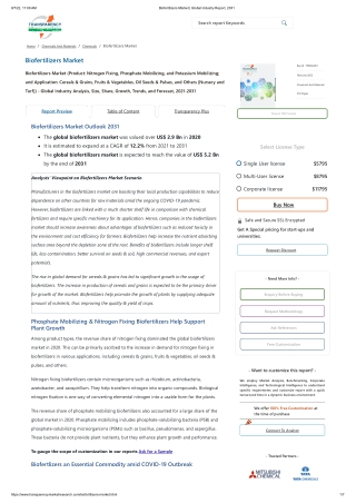 Biofertilizers Market _ Global Industry Report, 2031