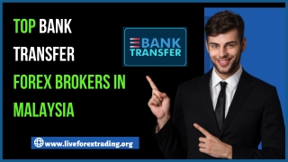 Top  Bank Transfer Forex Brokers In Malaysia