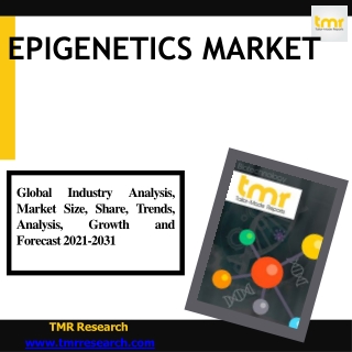 What are the factors that affect Epigenetics  ?